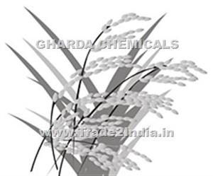 > </div>
<div class=